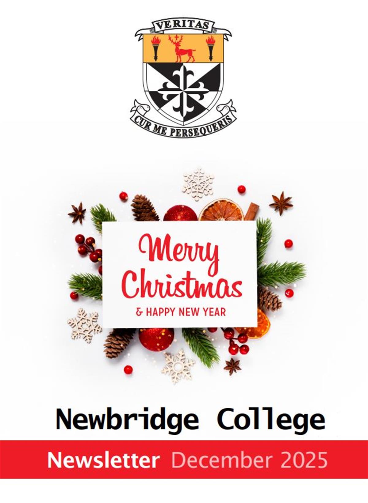 Newbridge College Christmas Newsletter