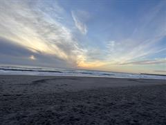 Making Waves: 4th & 5th Class Kick Off 2026 with Local Beach Clean!