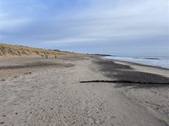 Making Waves: 4th & 5th Class Kick Off 2026 with Local Beach Clean!