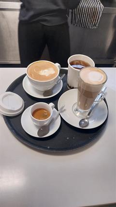 Barista