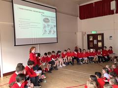 P5C Assembly
