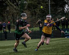 Congratulations to our Senior Hurlers