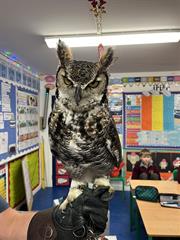 Newsletter December 8th 2025