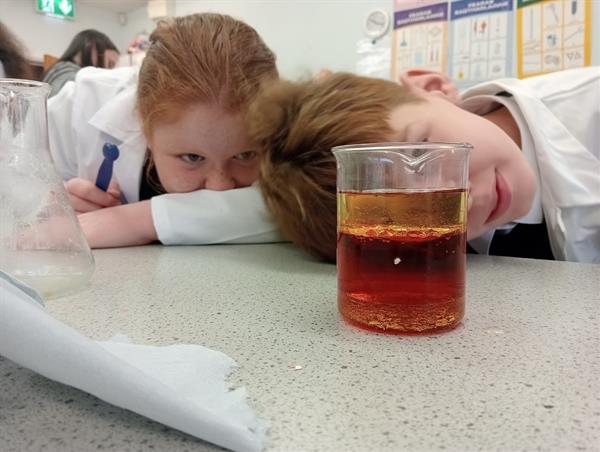 Ceardlann Eolaíochta & Adhmadóireachta / Science & Woodwork Workshop