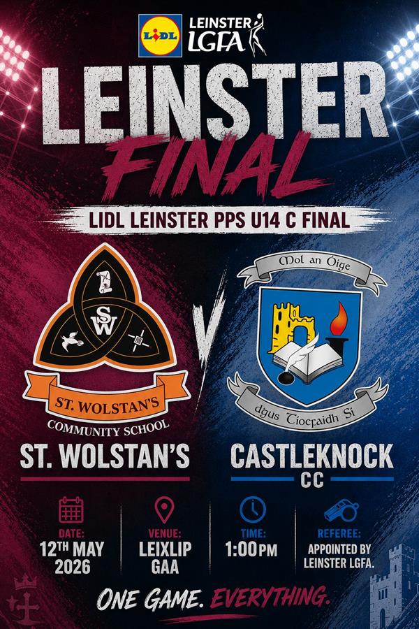 Leinster Final 12th May
