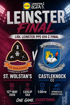 Leinster Final 12th May