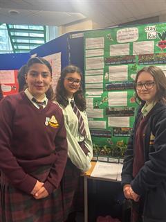 Sci Fest Success