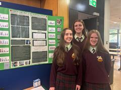 Sci Fest Success