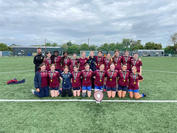Leinster Shield Cup Winners