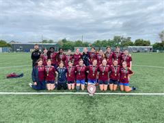 Leinster Shield Cup Winners