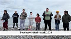Seashore Safari - April 2026