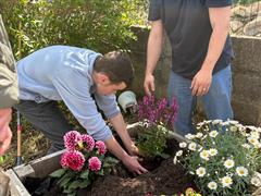 Summer Gardening