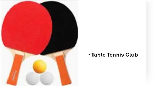 Table Tennis Club