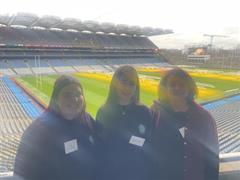 Comhairle Náisiúnta Curaclaim agus Measúnachta