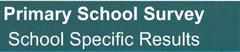 Primary School Survey
