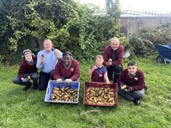 A5's Potato Harvest