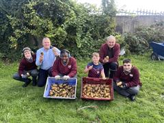 A5's Potato Harvest