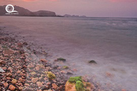 Oman / Muscat <br> Qantab