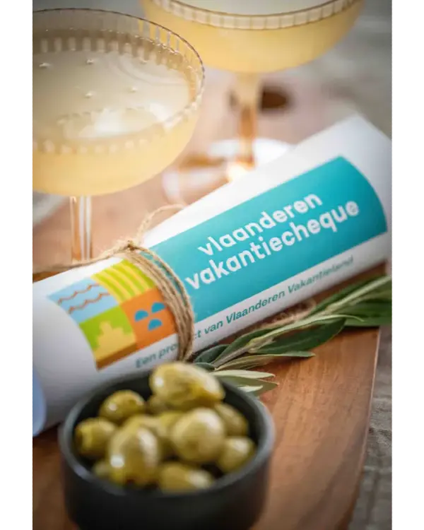 Vlaanderen Vakantiecheque