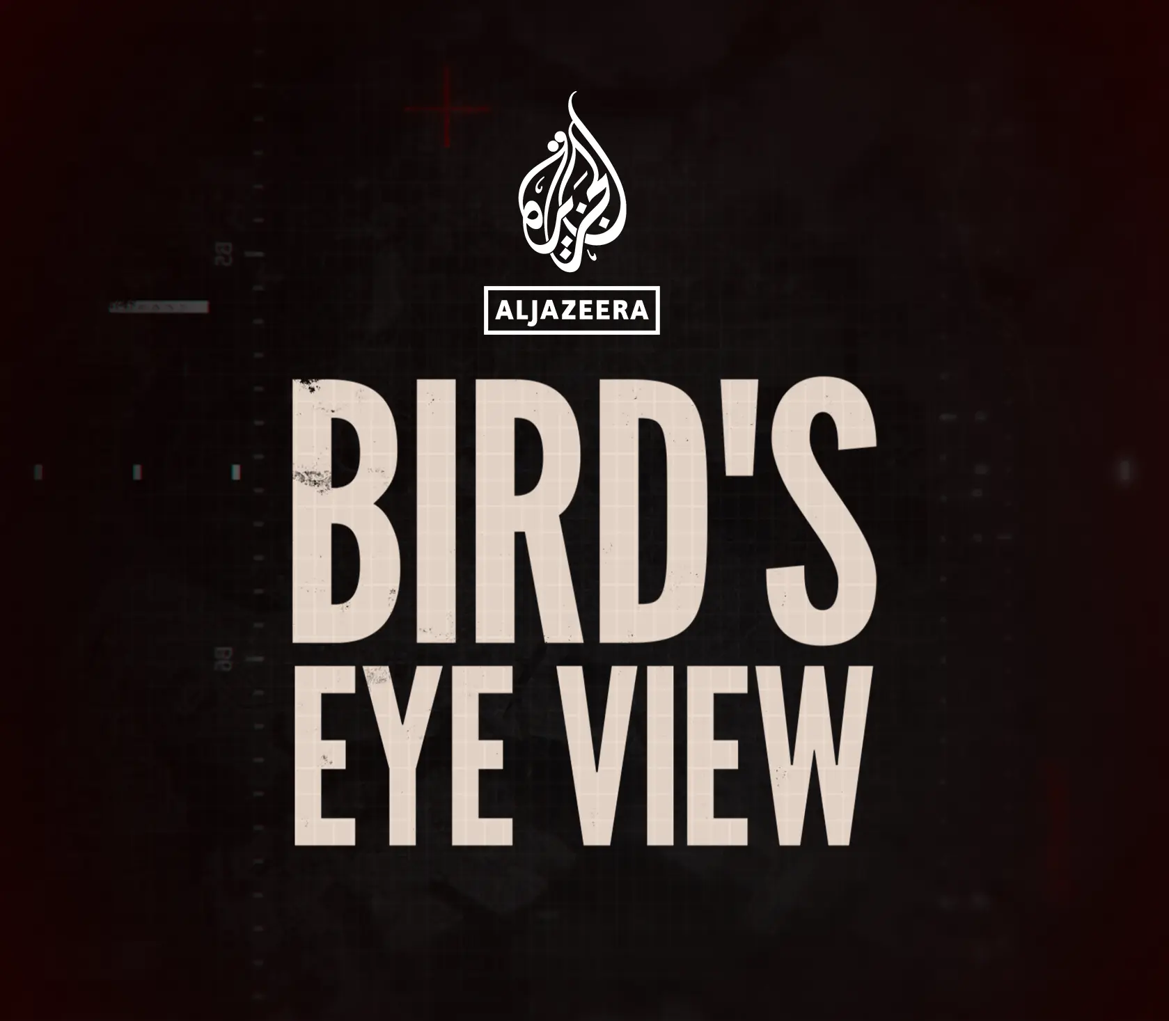 birds-eye