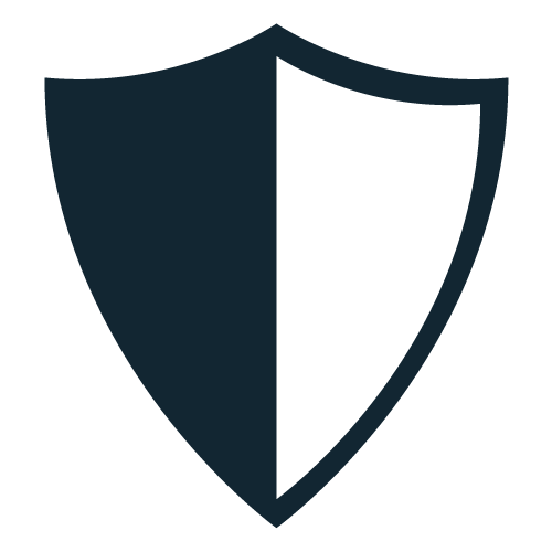 Domain Name Protection