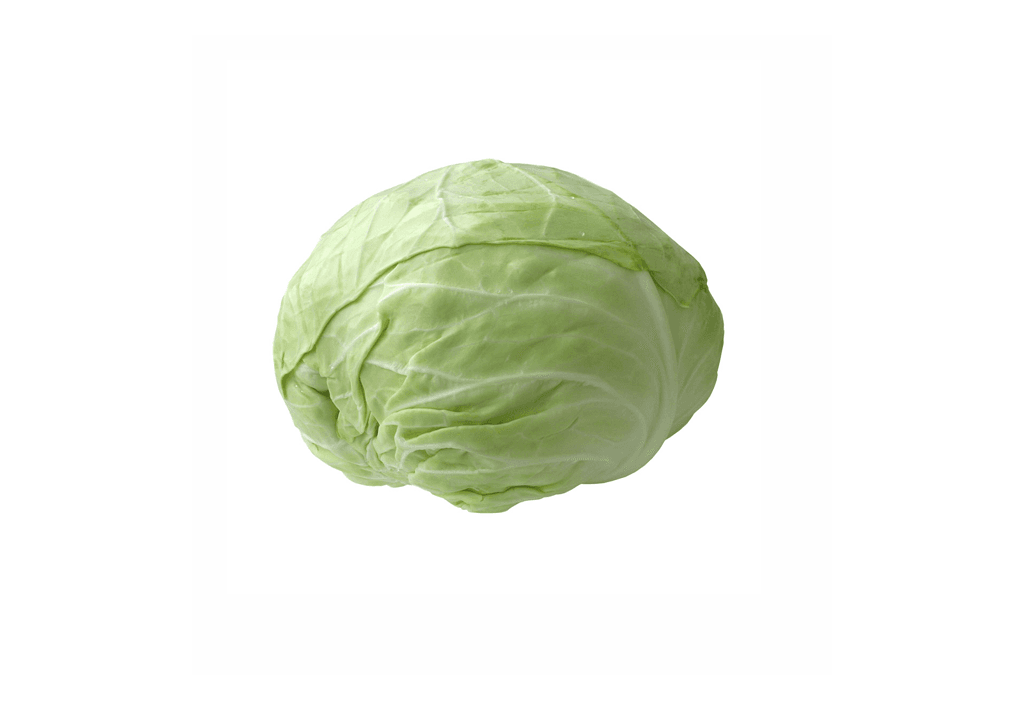 كرنب أخضر 