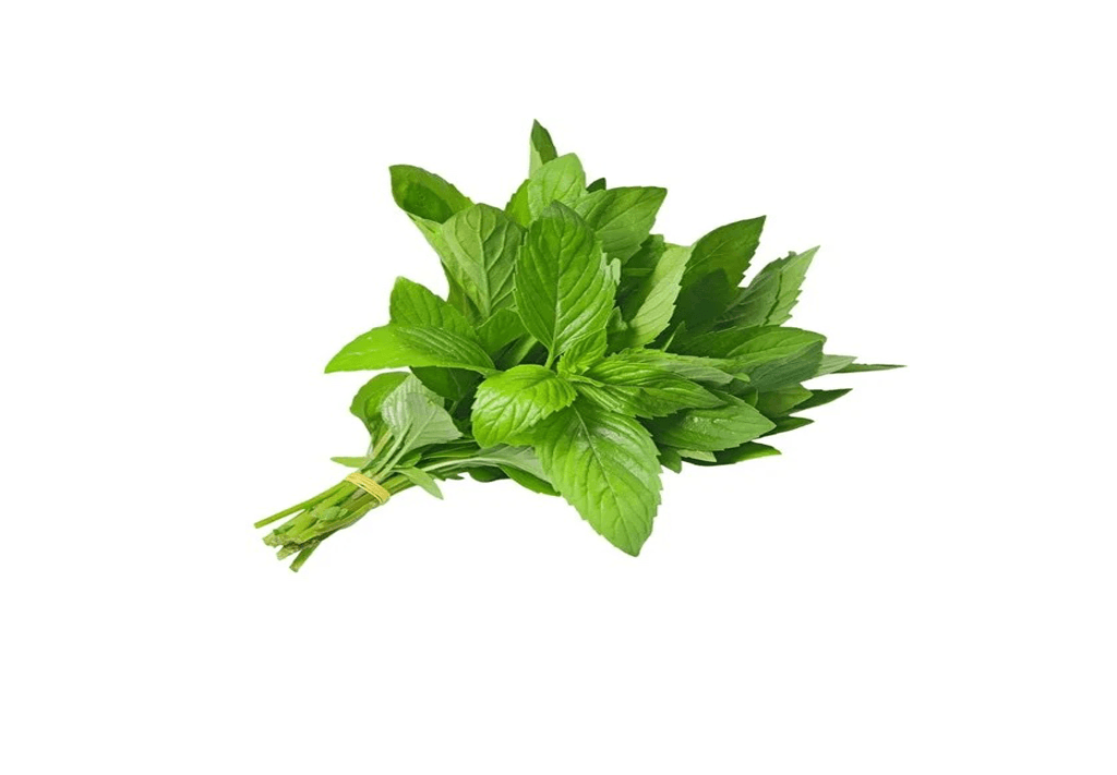 حزمة نعناع