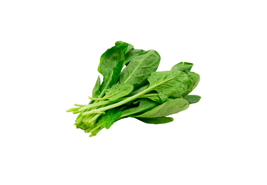 سلق بلدي 