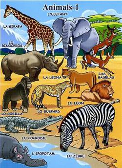 Aficha Animals 1/FR/Affiche Animaux 1