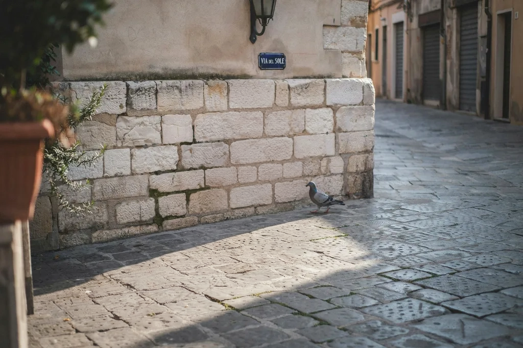 the same plaza with the bicycle removed