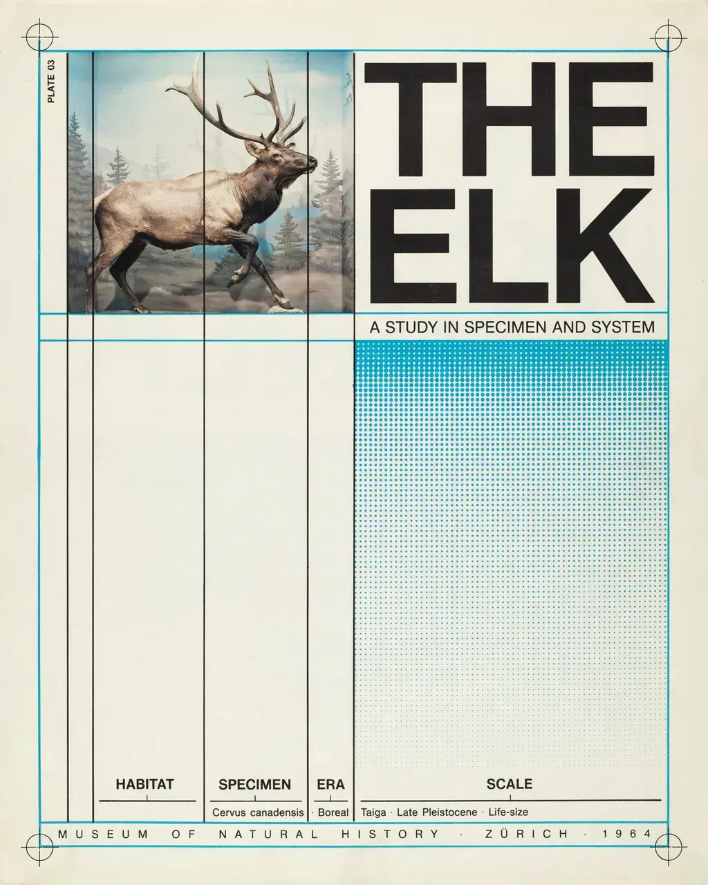 Swiss International Style exhibition poster: a natural history museum diorama of a taxidermied elk inset into a strict eight-column grid, Helvetica labels identifying HABITAT, SPECIMEN, ERA, SCALE in cyan and black on white coated stock.