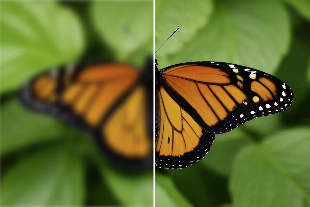A monarch butterfly before and after image upscaling, with sharper wing detail on the right