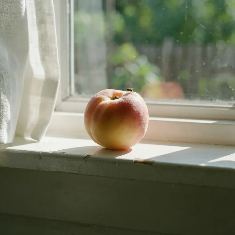 A photo of a peach on a windowsill
