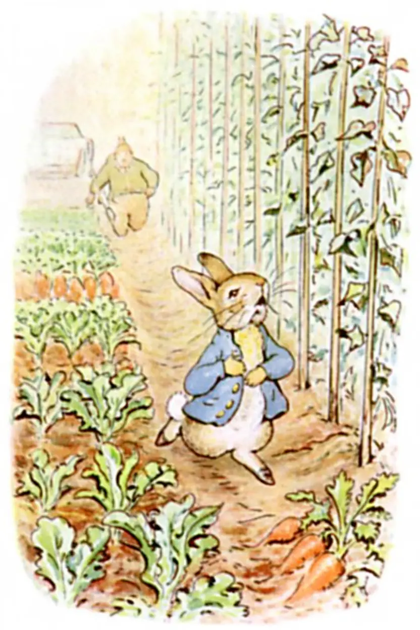 Peter Rabbit running through Mr McGregor's vegetable garden