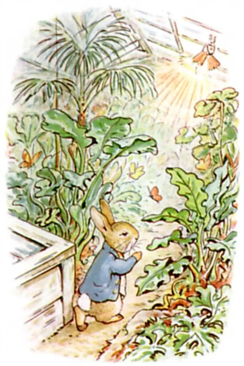 Peter Rabbit sneaking into a greenhouse