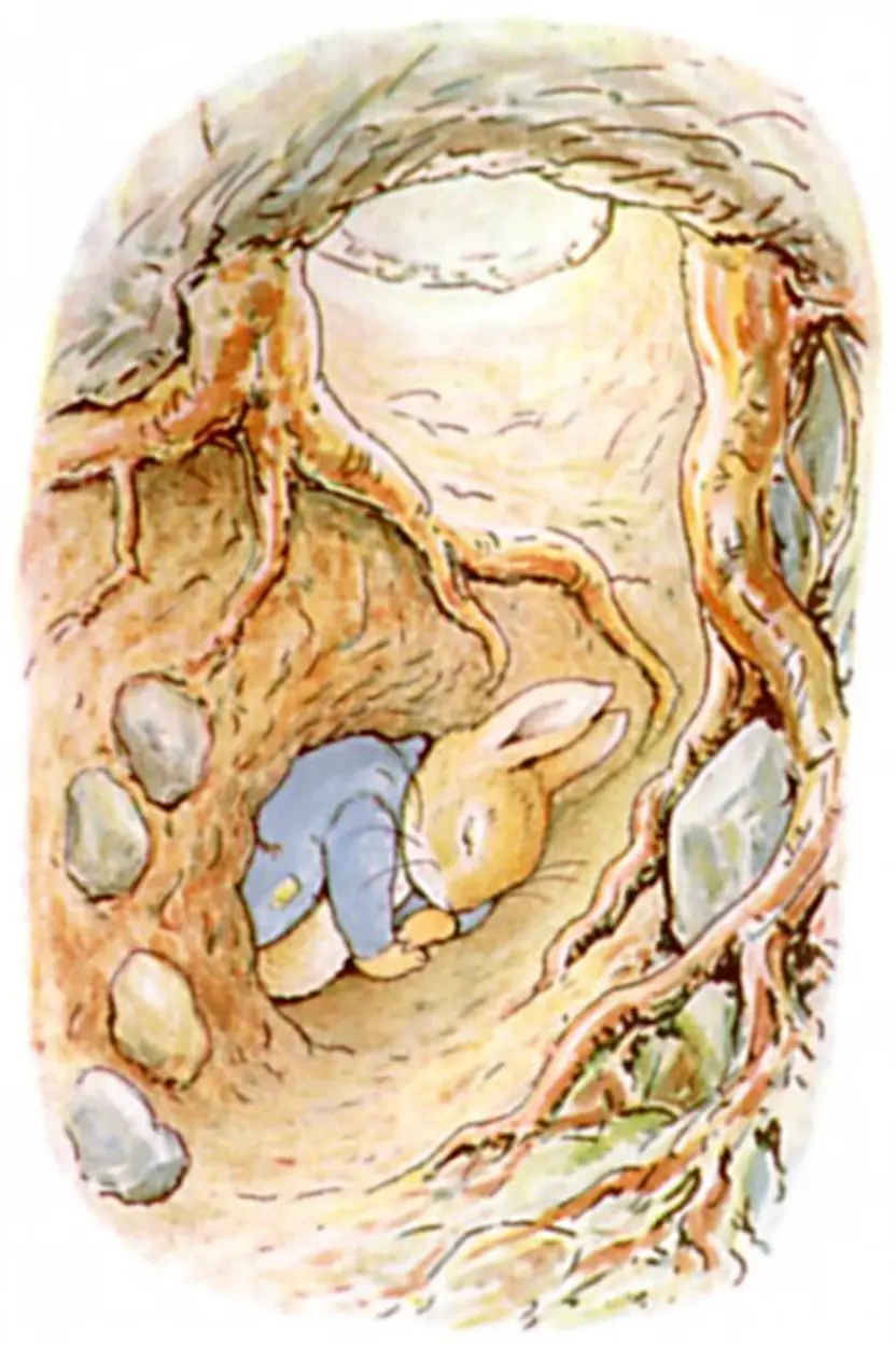 Peter Rabbit sleeping curled up in his burrow