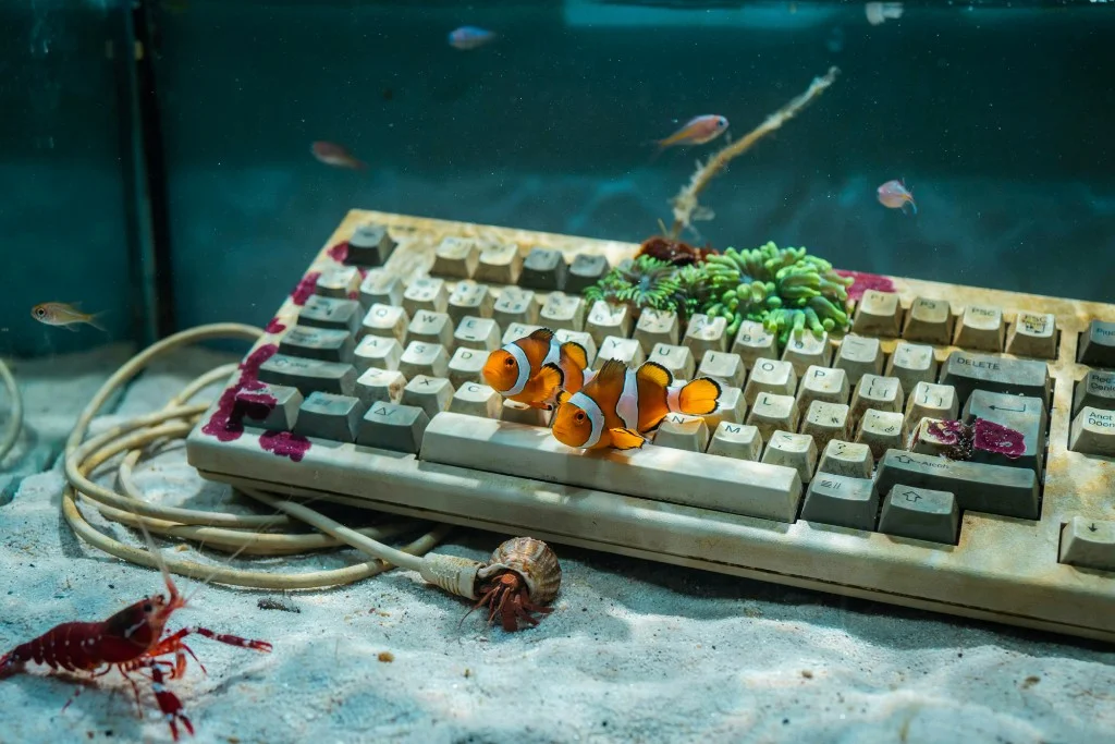 An underwater keyboard with clownfish, coral, and sea life growing across the keys