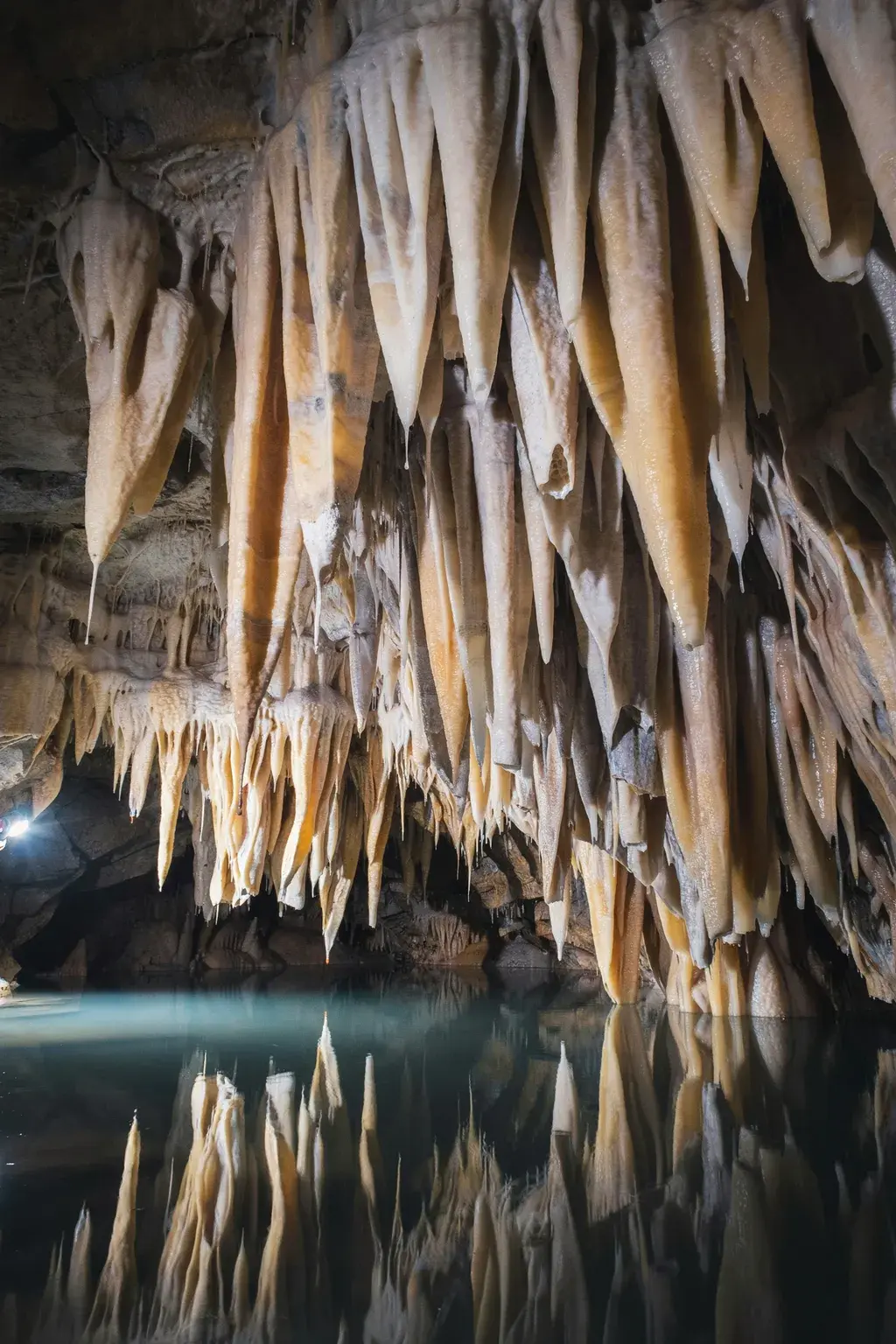 Underground cave chamber: aragonite stalactites with mineral color banding, a perfectly still pool reflecting them as a mirror, single expedition headlamp.