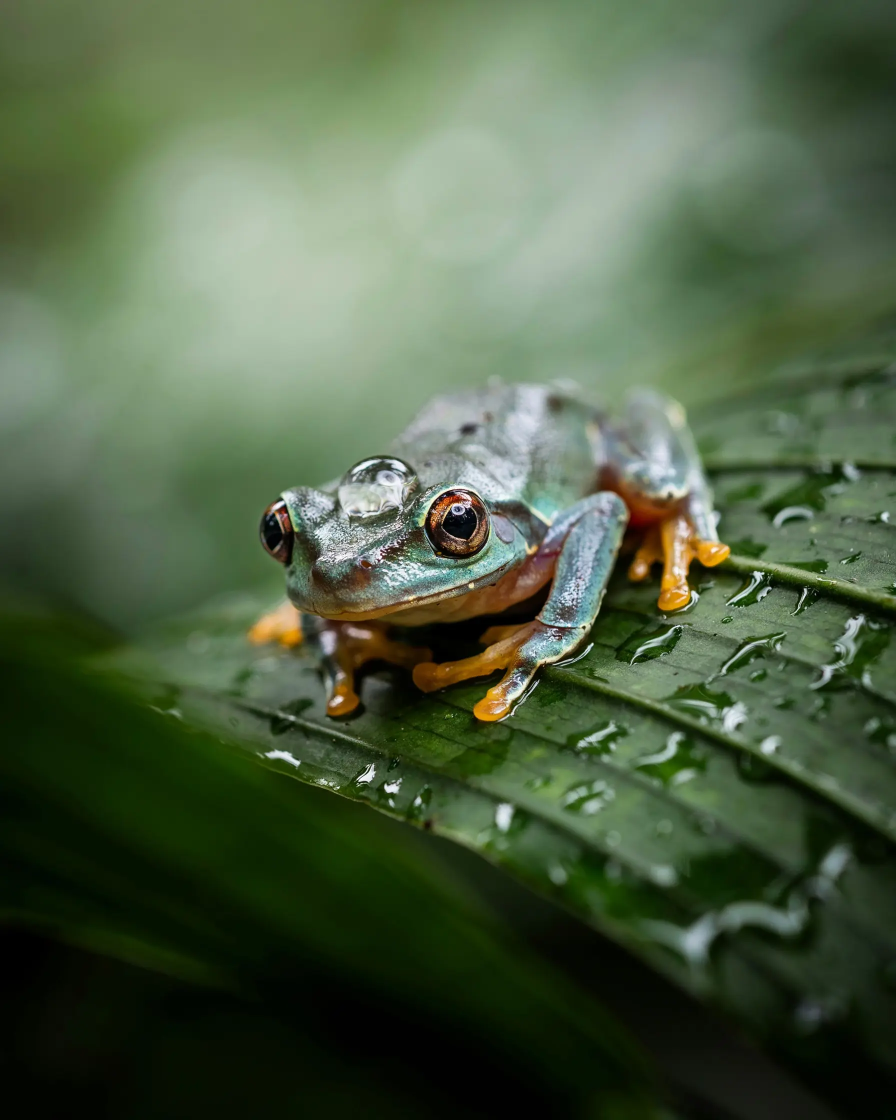 Photography example 1