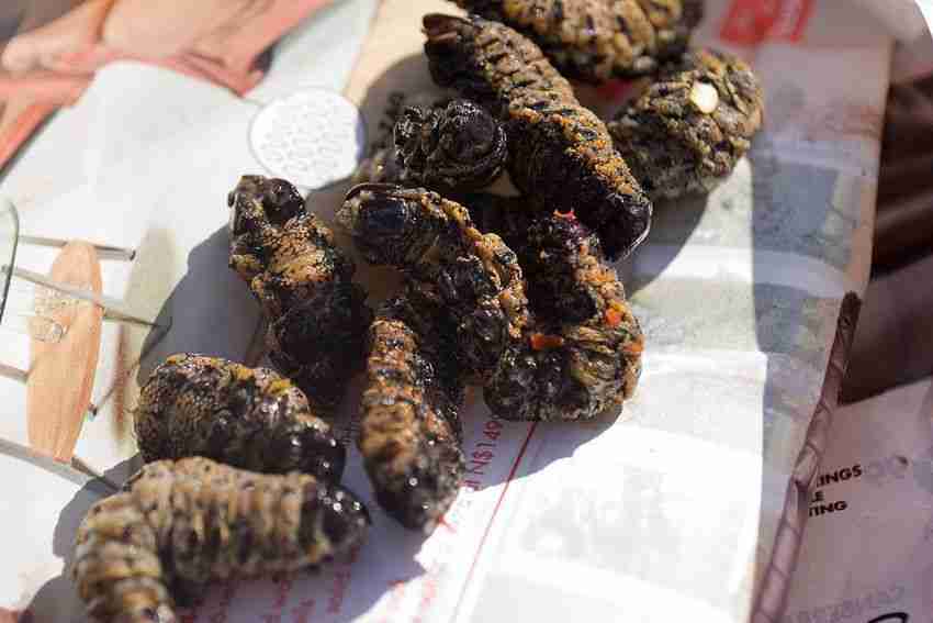 gusanos fritos comida rara de navidad