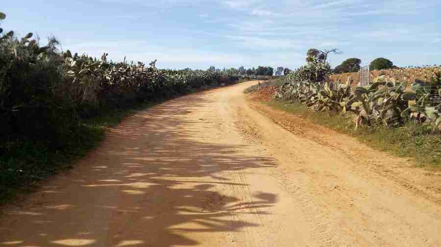 Un carril de campo cerca de Sevilla