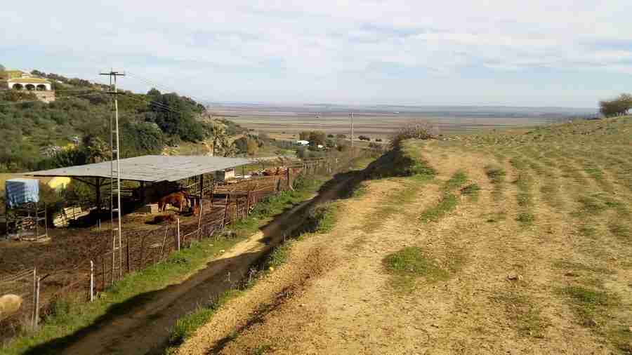 Vista de campos de cultivo, con césped y la llanura al fondo