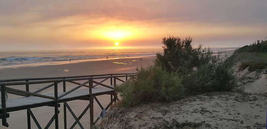 Playa de Costa Ballena, una de las playas más importantes de Cádiz.