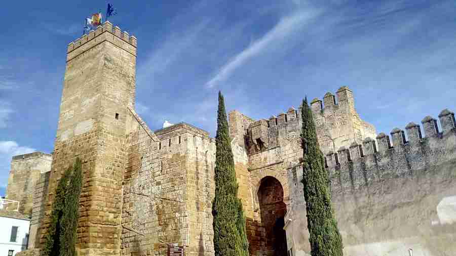 En esta serie de mis Escapadas en Bici de Sevilla: Carmona, puedes ver parte de la Puerta de Sevilla en Carmona, la muralla romana con bonitos pinos en frente.