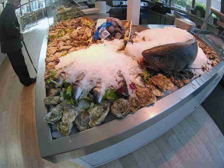 Vemos unos pescados sobre hielo, con ostras.