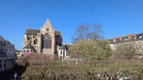 Investir dans le quartier Velpeau à Tours Eglise Tours