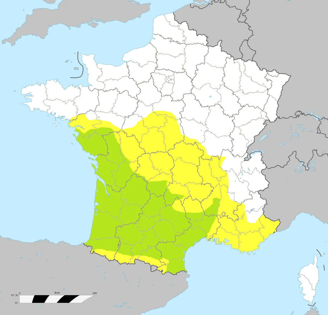 Investir dans l'immobilier en 2026 : Stratégies et Perspectives Carte de la France
