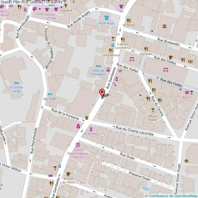 Investir dans le quartier Centre-ville / Casino de Biarritz Carte Rue Gambetta Biarritz