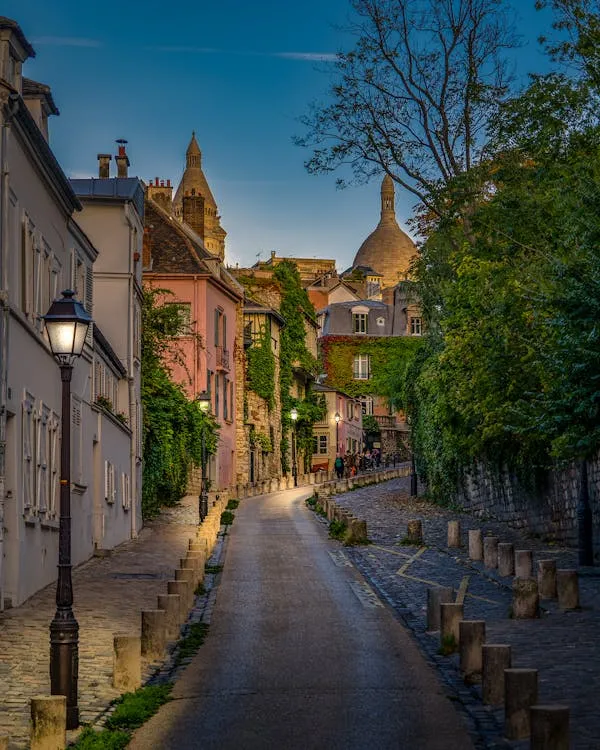 Gratuit Photo De Maisons En Béton Et Arbres Verts Photos