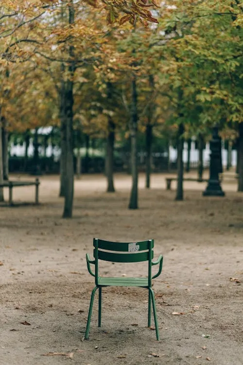Gratuit Photos gratuites de arbres, artistique, automne Photos